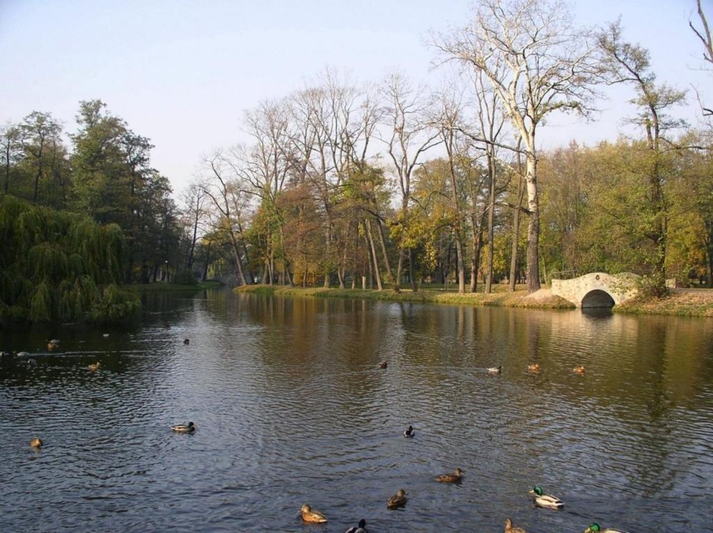 Comfortbiznes Прушкув Экстерьер фото